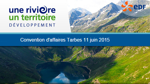 Convention d'affaires EDF Tarbes 11 juin 2015
